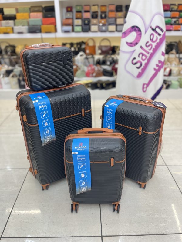 چمدان نشکن ریکاردو مشکی قهوه ای